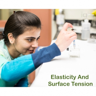 Elasticity And Surface Tension